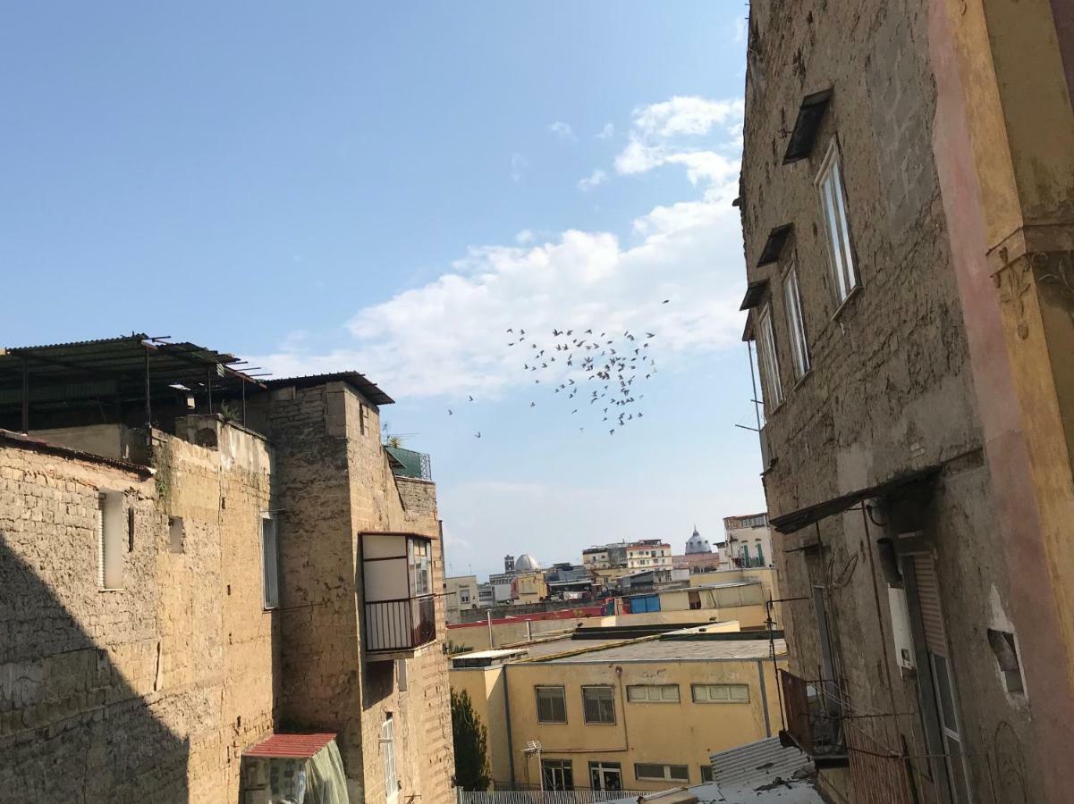 فيلا نابوليفي Casa Maurano المظهر الخارجي الصورة